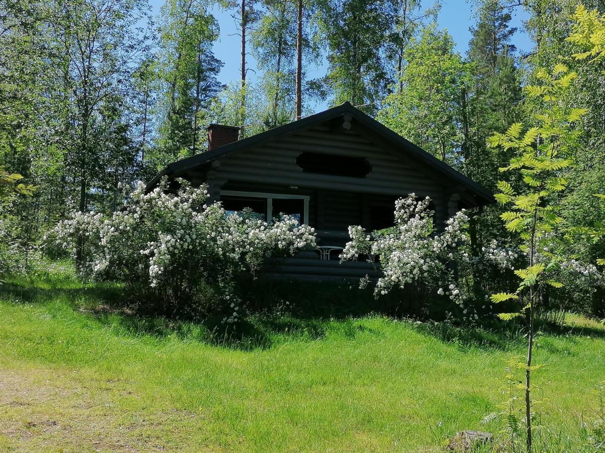 Mansikkaniemen Lomakeskus Rantasalmi Exterior foto